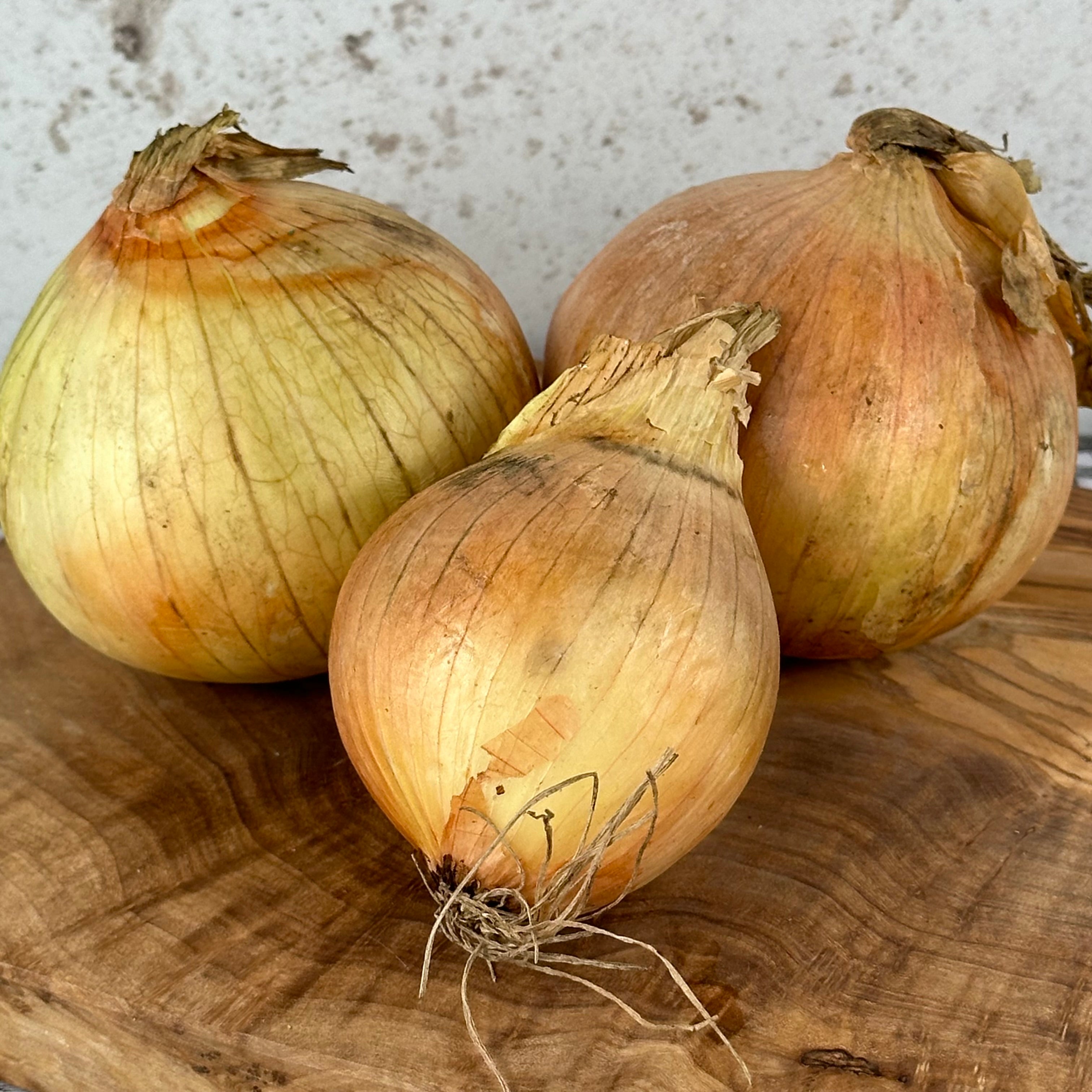 Onions x 3