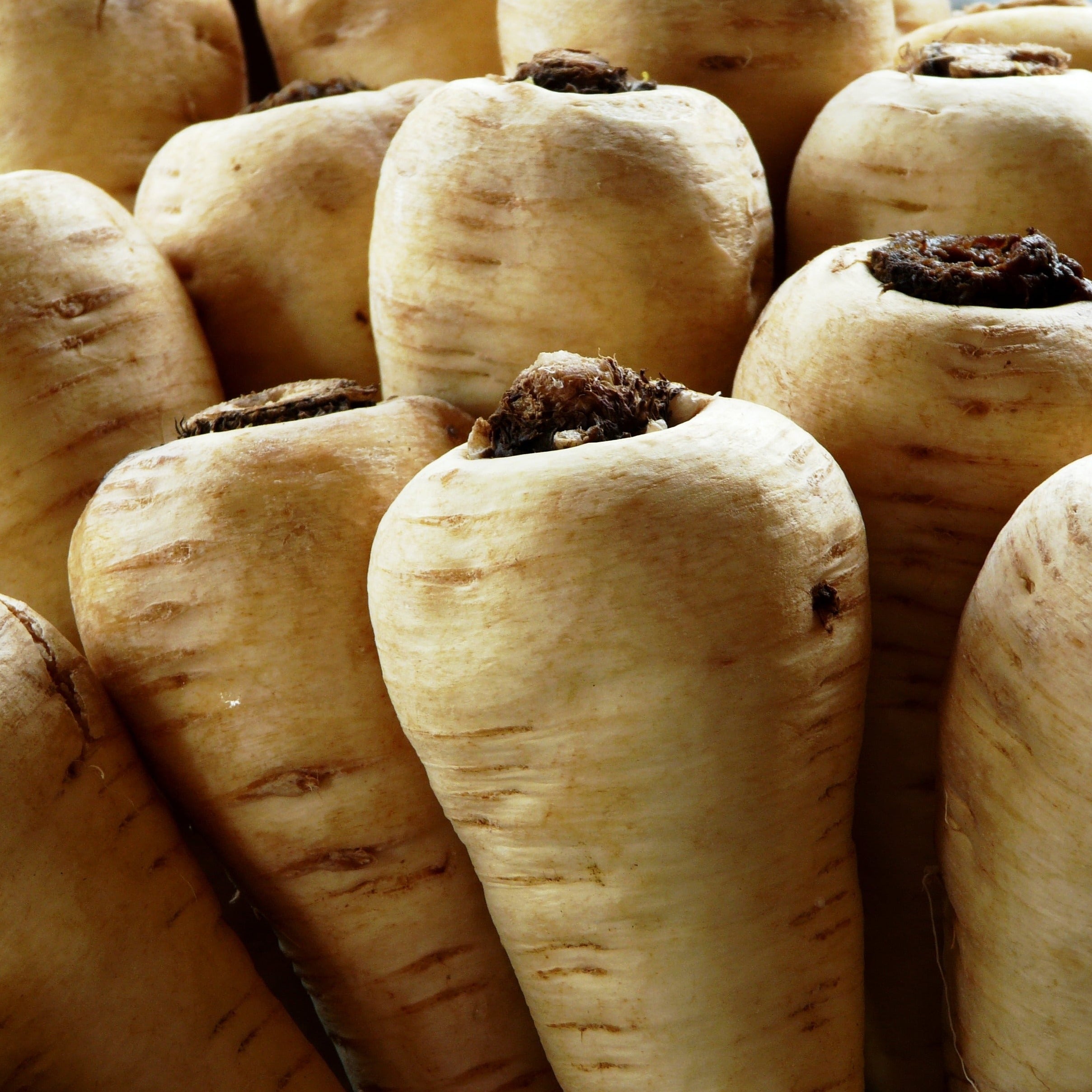 Parsnips