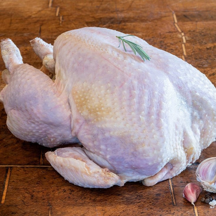 Blackhall Farm Free Range White Turkey