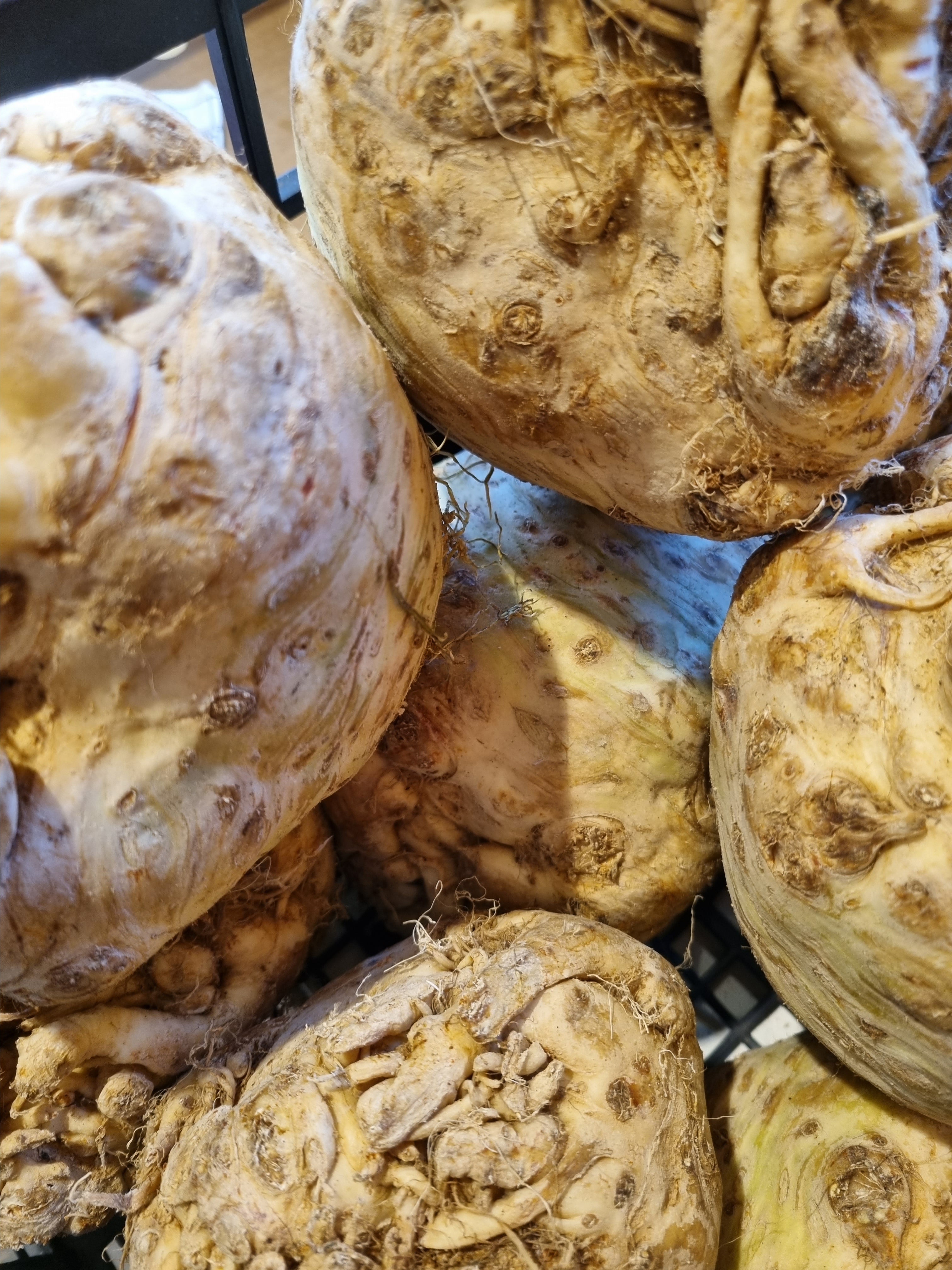 Celeriac