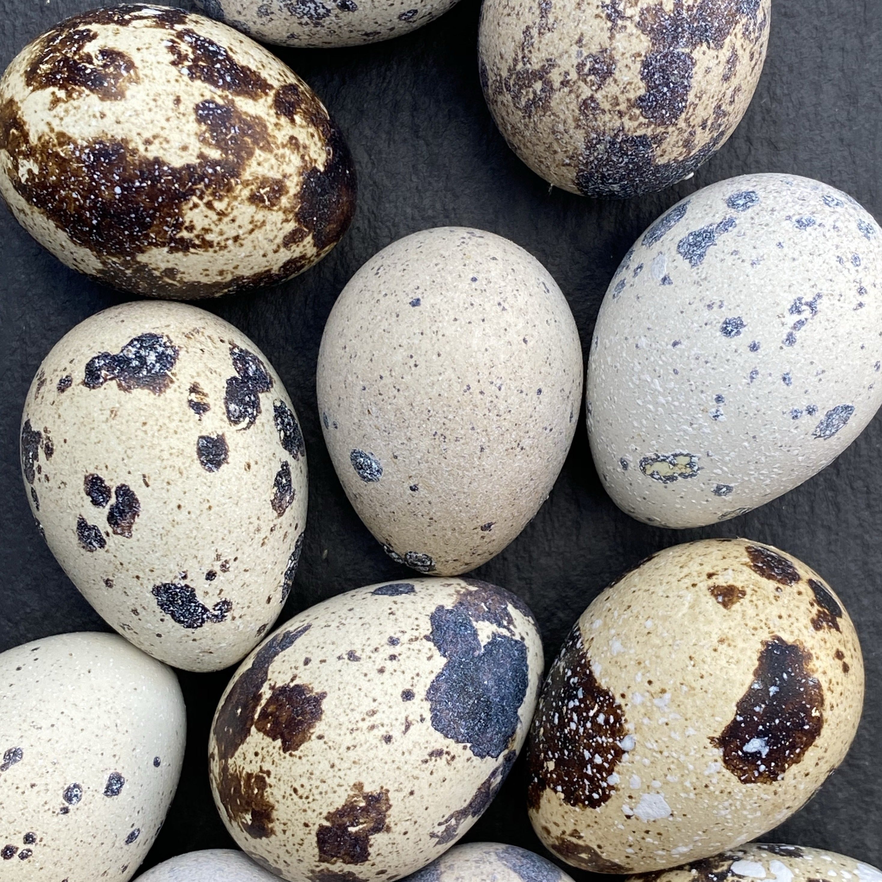 Quails Eggs