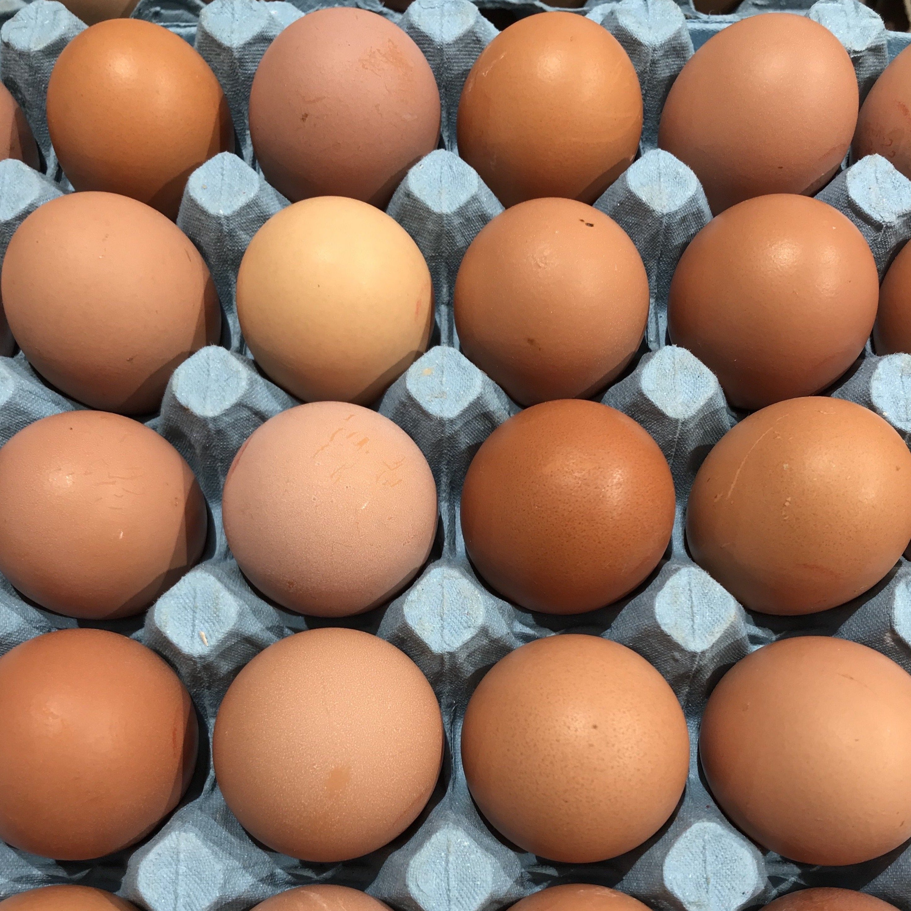 Gloagburn Free Range Eggs